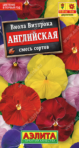Виола Английская, смесь сортов - фото Виола Английская, смесь сортов - фото