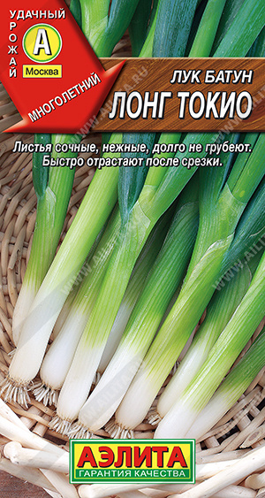 Лук батун Лонг токио - фото Лук батун Лонг токио - фото