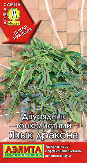 Двурядник тонколистный Язык дракона - фото Двурядник тонколистный Язык дракона - фото