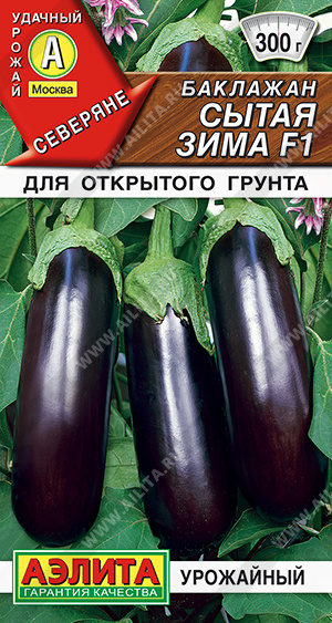 Баклажан Сытая зима F1 - фото Баклажан Сытая зима F1 - фото