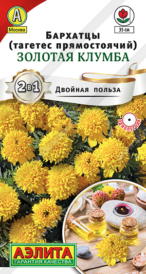 Бархатцы Золотая клумба прямостоячие - фото Бархатцы Золотая клумба прямостоячие - фото