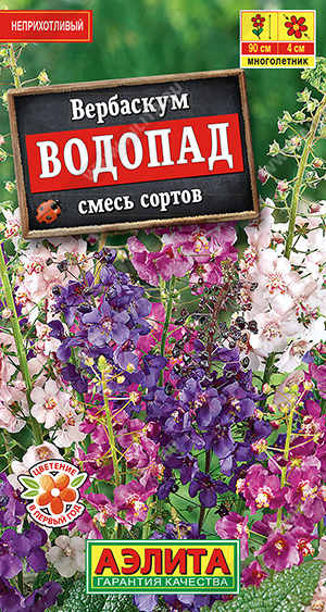 Вербаскум Водопад, смесь сортов - фото Вербаскум Водопад, смесь сортов - фото