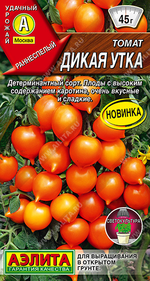 Томат Дикая утка - фото Томат Дикая утка - фото