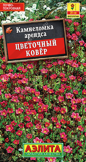 Камнеломка Цветочный ковер - фото Камнеломка Цветочный ковер - фото