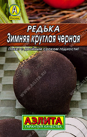 Редька Зимняя круглая черная - фото Редька Зимняя круглая черная - фото